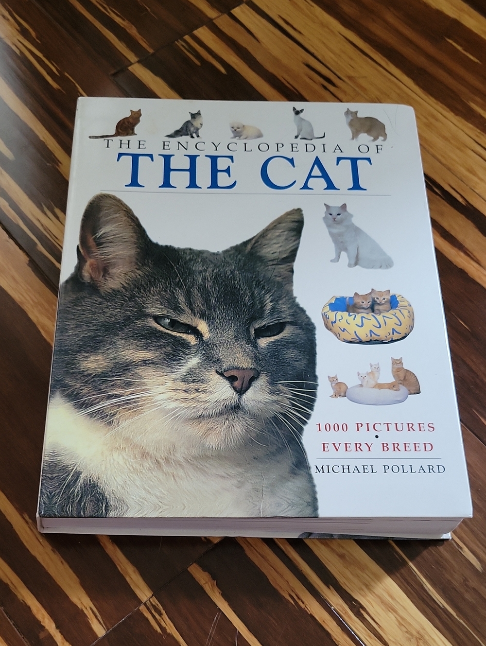 The Encyclopedia of The Cat -  by Michael Pollard